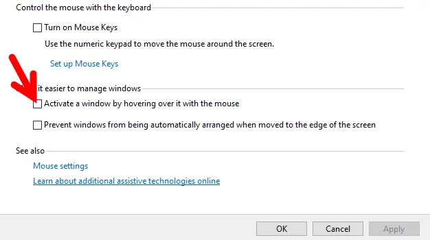 Aktifkan Jendela Windows Dengan Mengarahkan Kursor Mouse Img 4