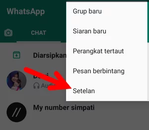 Apa Itu Folder Private Di Whatsapp Img 6