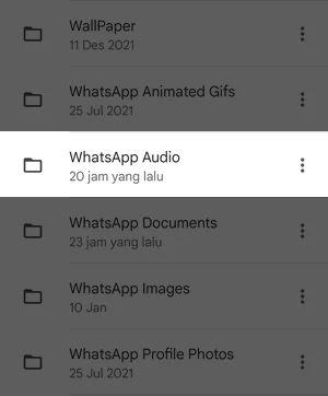 Di Mana Whatsapp Menyimpan File Audio Img 4