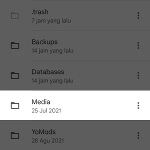 Folder Media WhatsApp di Aplikasi Files by Google