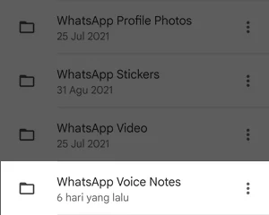 Folder WhatsApp Voice Notes di Aplikasi Files by Google