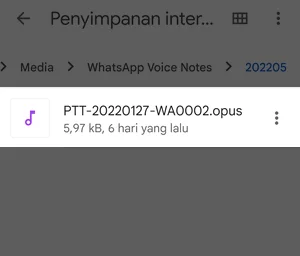File Pesan Suara WhatsApp di Aplikasi Files by Google