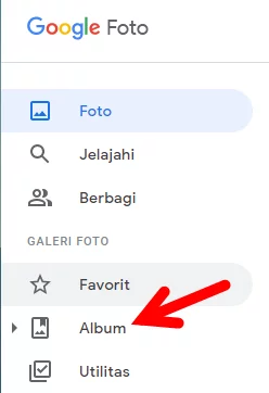 Download Album Google Foto Img 1