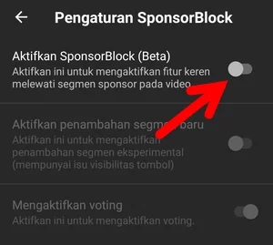 Memblokir Konten Sponsor Pada Video Youtube Img 14