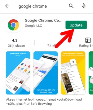 Memperbarui Google Chrome Img 10