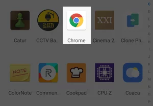 Memperbarui Google Chrome Img 3