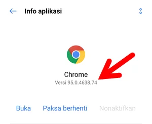 Memperbarui Google Chrome Img 5