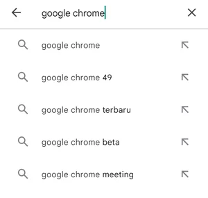Memperbarui Google Chrome Img 9