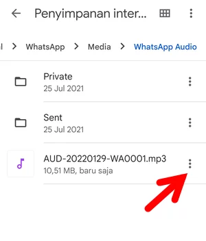 Menyimpan Audio Whatsapp Ke Musik Android Img 10