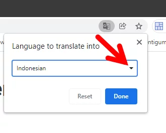 Terjemahkan Halaman Web Di Google Chrome Img 6