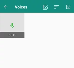 File Pesan Suara di Aplikasi Cleaner for WhatsApp