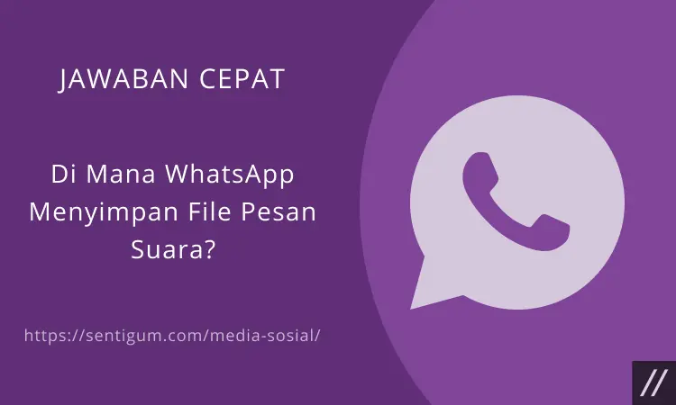 Di Mana Whatsapp Menyimpan File Pesan Suara