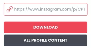 Kotak URL Video Instagram di Bigbangram