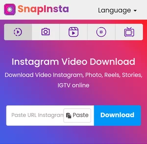 Kotak URL Video Instagram di SnapInsta