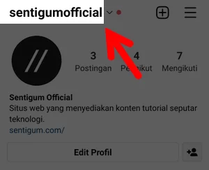 Username di Kiri Atas Halaman Profil di Aplikasi Instagram