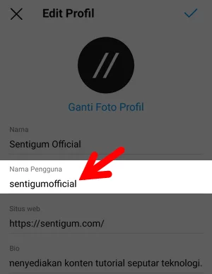 Username di Halaman Edit Profil Aplikasi Instagram