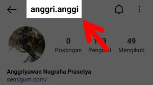 Username Akun Orang Lain di Aplikasi Instagram