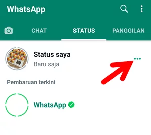 Tombol Menu Status WhatsApp