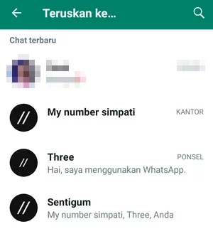Memilih Kontak untuk Meneruskan Status WhatsApp
