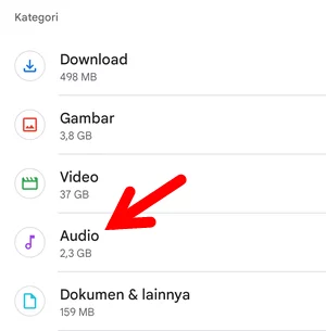 Menu Audio Di Aplikasi Files By Google