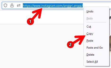 Menyalin URL Akun Instagram pada Bar Alamat Browser