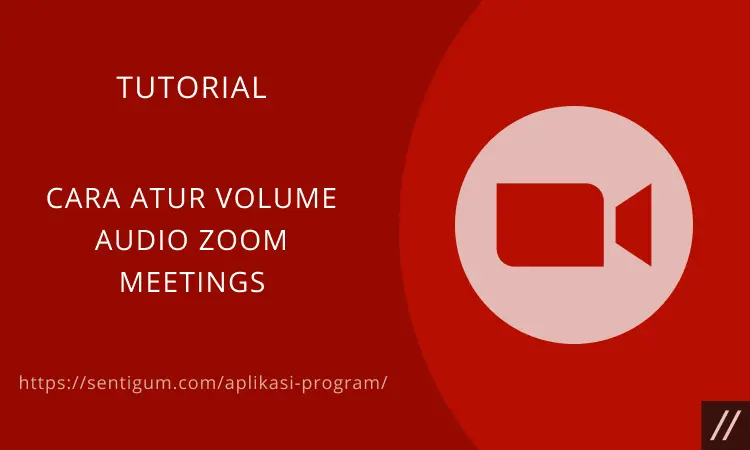 Cara Atur Volume Audio Zoom Meetings